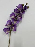 Искусственное растение Орхидея фаленопсис  ВериПери h77см купить в интернте магазине 100kashpo.by в  #REGION_NAME_DECLINE_PP# 