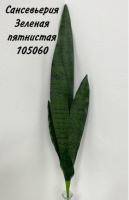 Искусственное растение Сансевиерия щучий хвост h76 купить в интернте магазине 100kashpo.by в  #REGION_NAME_DECLINE_PP# 