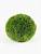 Искусственное растение шар травяной d23 купить в интернте магазине 100kashpo.by в  #REGION_NAME_DECLINE_PP# 