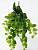 Искусственное растение ампельная Фиттония с желтыми прожилками h80 купить в интернте магазине 100kashpo.by в  #REGION_NAME_DECLINE_PP# 
