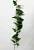 Искусственное растение Лиана Сингониум ампельная h120 купить в интернте магазине 100kashpo.by в  #REGION_NAME_DECLINE_PP# 