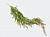 Искусственное растение Оленьи рожки ампельные зелено-красные h82 купить в интернте магазине 100kashpo.by в  #REGION_NAME_DECLINE_PP# 