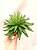 Искусственное растение Суккулент Звездный h15 купить в интернте магазине 100kashpo.by в  #REGION_NAME_DECLINE_PP# 