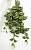 Искусственное растение Традесканция ампельная Пинк h80 купить в интернте магазине 100kashpo.by в  #REGION_NAME_DECLINE_PP# 
