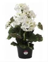 Искусственное растение Герань Рампи h34 белый купить в интернте магазине 100kashpo.by в  #REGION_NAME_DECLINE_PP# 