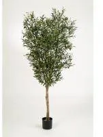 Искусственное растение Олива на стволе h150 купить в интернте магазине 100kashpo.by в  #REGION_NAME_DECLINE_PP# 