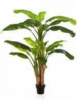 Искусственное растение Банановое дерево h180 купить в интернте магазине 100kashpo.by в  #REGION_NAME_DECLINE_PP# 