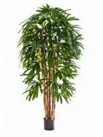 Искусственное растение Рапис h150 купить в интернте магазине 100kashpo.by в  #REGION_NAME_DECLINE_PP# 