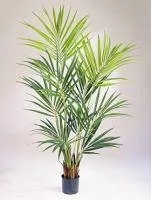 Искусственное растение Пальма Ховея h170 купить в интернте магазине 100kashpo.by в  #REGION_NAME_DECLINE_PP# 
