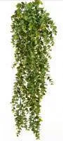 Искусственное растение Эвкалипт зеленый ампельный h65 купить в интернте магазине 100kashpo.by в  #REGION_NAME_DECLINE_PP# 