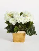 Искусственное растение Бегония кремовая h20 купить в интернте магазине 100kashpo.by в  #REGION_NAME_DECLINE_PP# 