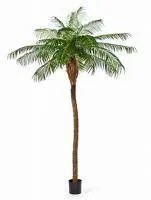 Искусственное растение Финиковая пальма h240 купить в интернте магазине 100kashpo.by в  #REGION_NAME_DECLINE_PP# 