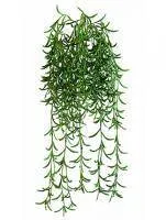 Искусственное растение Суккулент ампельный h45 купить в интернте магазине 100kashpo.by в  #REGION_NAME_DECLINE_PP# 