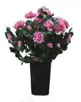 Искусственное растение Азалия Лима h34 розовый купить в интернте магазине 100kashpo.by в  #REGION_NAME_DECLINE_PP# 