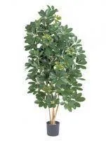 Искусственное растение Шефлера зеленая пестрая h140 купить в интернте магазине 100kashpo.by в  #REGION_NAME_DECLINE_PP# 