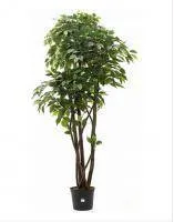 Искусственное растение Фикус Элиот h170 купить в интернте магазине 100kashpo.by в  #REGION_NAME_DECLINE_PP# 