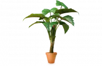 Искусственное растение Тропическое Таро h130 купить в интернте магазине 100kashpo.by в  #REGION_NAME_DECLINE_PP# 