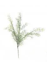 Искусственное растение Аспарагус h60 купить в интернте магазине 100kashpo.by в  #REGION_NAME_DECLINE_PP# 