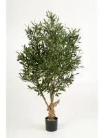 Искусственное растение Оливковое дерево h180 купить в интернте магазине 100kashpo.by в  #REGION_NAME_DECLINE_PP# 