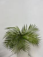 Искусственное растение Пальма Арека кустовая h53 купить в интернте магазине 100kashpo.by в  #REGION_NAME_DECLINE_PP# 