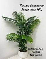 Искусственное растение Пальма финиковая Браун h160 купить в интернте магазине 100kashpo.by в  #REGION_NAME_DECLINE_PP# 