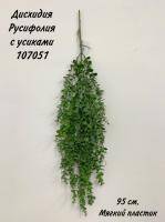 Искусственное растение Дисхидия Русифолия ампельная с усиками h95 купить в интернте магазине 100kashpo.by в  #REGION_NAME_DECLINE_PP# 