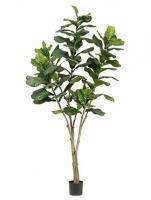 Искусственное растение Фикус Лирата h210 купить в интернте магазине 100kashpo.by в  #REGION_NAME_DECLINE_PP# 