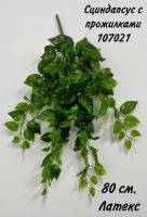 Искусственное растение Сциндапсус ампельный с прожилками h80 купить в интернте магазине 100kashpo.by в  #REGION_NAME_DECLINE_PP# 