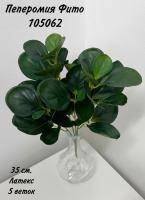 Искусственное растение Пеперомия Фито h35 купить в интернте магазине 100kashpo.by в  #REGION_NAME_DECLINE_PP# 