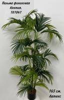 Искусственное растение Пальма финиковая Кентия h165 купить в интернте магазине 100kashpo.by в  #REGION_NAME_DECLINE_PP# 