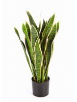 Искусственное растение Сансевиерия вариегатная в горшке h80 купить в интернте магазине 100kashpo.by в  #REGION_NAME_DECLINE_PP# 