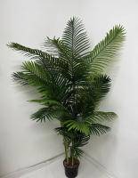 Искусственное растение Пальма финиковая Браун h200 купить в интернте магазине 100kashpo.by в  #REGION_NAME_DECLINE_PP# 