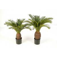 Искусственное растение Цикас h65 купить в интернте магазине 100kashpo.by в  #REGION_NAME_DECLINE_PP# 