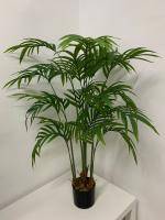 Искусственное растение Хамедорея h130 купить в интернте магазине 100kashpo.by в  #REGION_NAME_DECLINE_PP# 