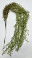 Искусственное растение Тилландсия Уснеевидная h160 купить в интернте магазине 100kashpo.by в  #REGION_NAME_DECLINE_PP# 