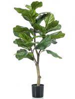 Искусственное растение Фикус Лирата h90 купить в интернте магазине 100kashpo.by в  #REGION_NAME_DECLINE_PP# 