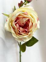 Роза искусственная пионовидная Омбре h65 купить в интернте магазине 100kashpo.by в  #REGION_NAME_DECLINE_PP# 