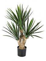 Искусственное растение Юкка Бранчевая h68 купить в интернте магазине 100kashpo.by в  #REGION_NAME_DECLINE_PP# 