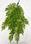Искусственное растение Папоротник Нефролепис ампельный h100 купить в интернте магазине 100kashpo.by в  #REGION_NAME_DECLINE_PP# 