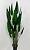 Искусственное растение стрелиция остролистная h180 купить в интернте магазине 100kashpo.by в  #REGION_NAME_DECLINE_PP# 