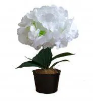 Искусственное растение Гортензия Стаффи h39 белый купить в интернте магазине 100kashpo.by в  #REGION_NAME_DECLINE_PP# 
