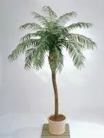 Искусственное растение Финиковая пальма Де Люкс h280 купить в интернте магазине 100kashpo.by в  #REGION_NAME_DECLINE_PP# 