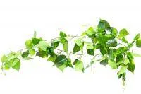 Искусственное растение Лиана Эпипремнум зеленый h125 купить в интернте магазине 100kashpo.by в  #REGION_NAME_DECLINE_PP# 