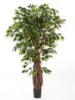 Искусственное растение Фикус Лиана Де Люкс h180 купить в интернте магазине 100kashpo.by в  #REGION_NAME_DECLINE_PP# 