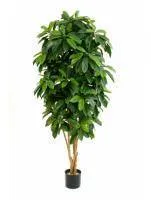 Искусственное растение Шефлера зеленая h140 купить в интернте магазине 100kashpo.by в  #REGION_NAME_DECLINE_PP# 