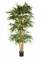 Искусственное растение Бамбук Джайнт h150 купить в интернте магазине 100kashpo.by в  #REGION_NAME_DECLINE_PP# 