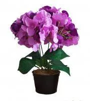 Искусственное растение Гортензия Стаффи h39 пурпурный купить в интернте магазине 100kashpo.by в  #REGION_NAME_DECLINE_PP# 