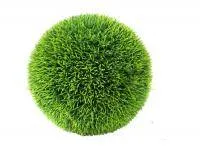 Искусственное растение шар травяной d38 купить в интернте магазине 100kashpo.by в  #REGION_NAME_DECLINE_PP# 