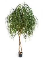Искусственное растение Ивовое дерево h240 купить в интернте магазине 100kashpo.by в  #REGION_NAME_DECLINE_PP# 