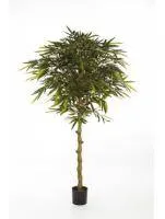 Искусственное растение Бамбук Амбрелла h180 купить в интернте магазине 100kashpo.by в  #REGION_NAME_DECLINE_PP# 